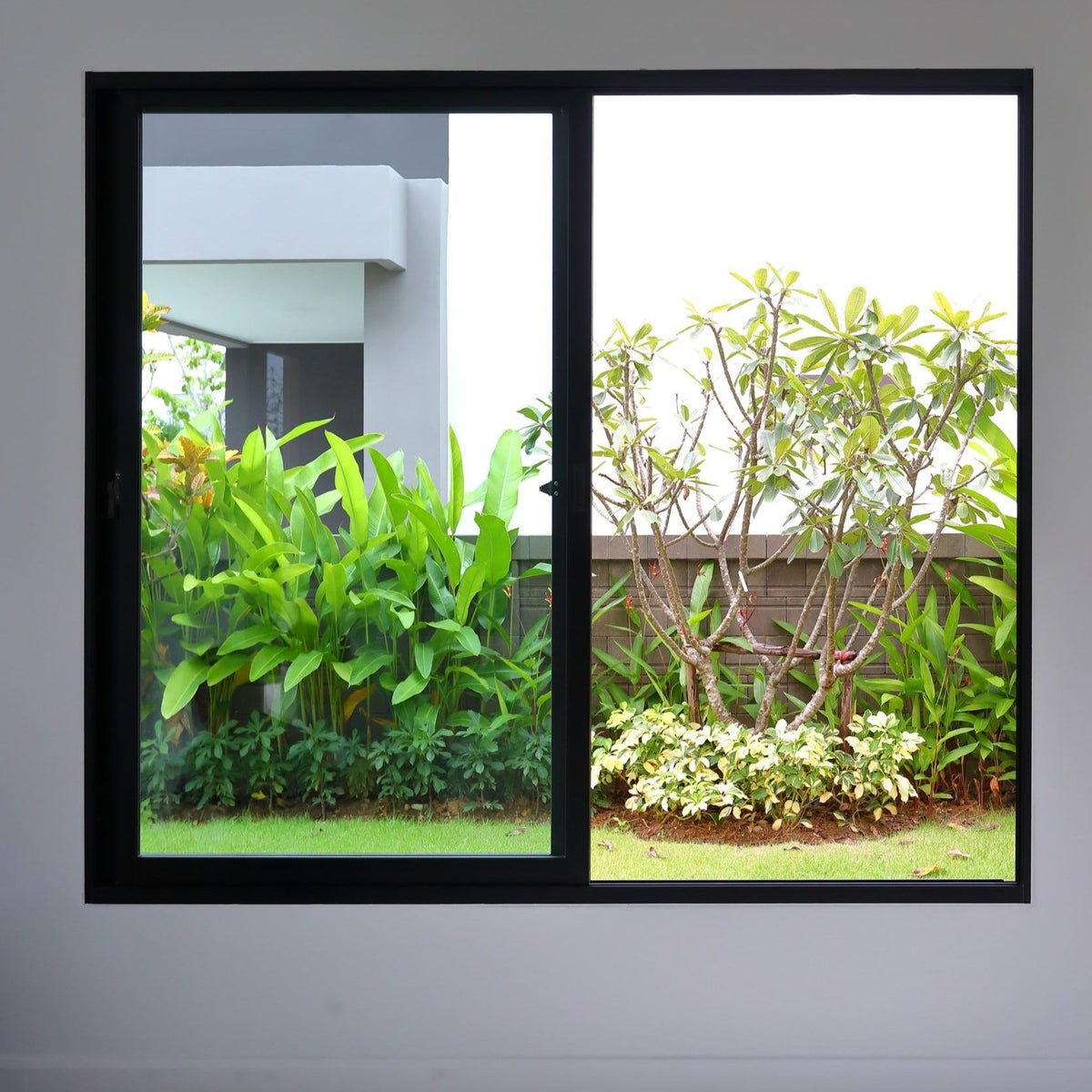 (In Stock) Sliding Window XO 1200 H x 2050 W